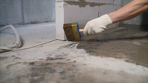 SJ Waterproofing Pros Waterproofing coverage map for Riverdale, MI and surrounding area
